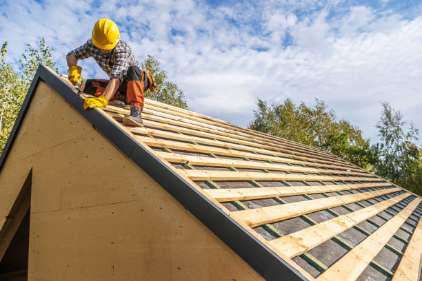 Best Roof Gutter Cleaning  in Terrace Park, OH
